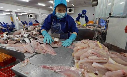 Lần đầu tiên xuất khẩu nông, thủy sản của Nhật Bản giảm sau 4 năm