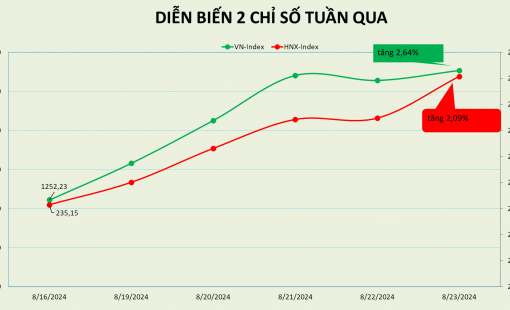 Thị trường có 2 tuần liên tiếp tăng trên 2%