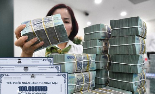 Ngân hàng thương mại là động lực chính của thị trường TPDN