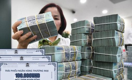Ngân hàng thương mại là động lực chính của thị trường TPDN