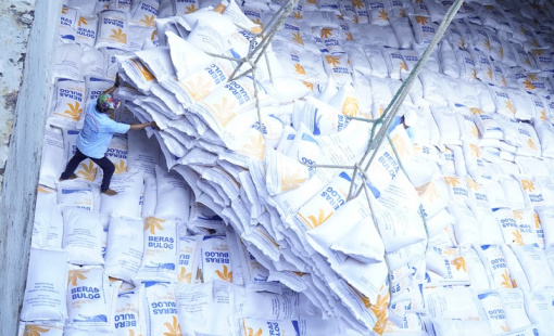 Trong bối cảnh nguồn cung đang cạn kiệt, doanh nghiệp Việt Nam có tham gia thầu Bulog?