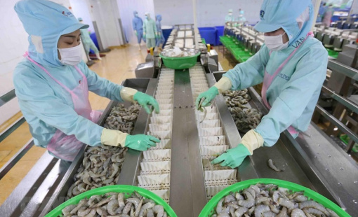 Xuất khẩu thị trường gần, doanh nghiệp thủy sản có nhiều lợi thế