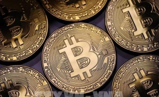 Bitcoin tăng giá, số lượng triệu phú tiền số tăng tới 95%