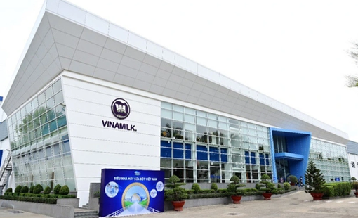 Vinamilk: Chuẩn bị bước chu kỳ tăng trưởng mới, hé lộ thời điểm chạy thương mại nhà máy chế biến thịt bò