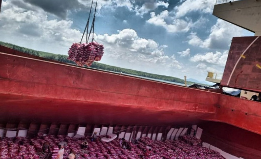 “Giằng co” giá gạo xuất khẩu giữa doanh nghiệp Việt Nam và thương nhân Philippines