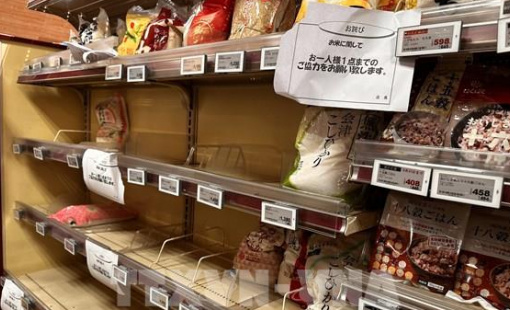 Nhật Bản: Giá gạo tại Tokyo tăng mạnh lần đầu tiên sau 20 năm