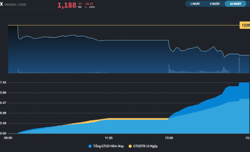 Thị trường châu Á lao dốc, VN-Index chỉ giảm 4%
