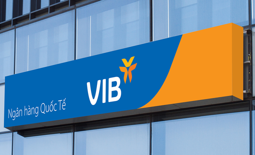 18 cổ đông nắm trên 72% vốn điều lệ VIB