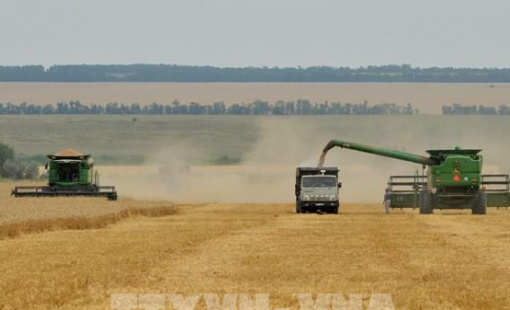 Nông nghiệp Nga vượt qua "cơn gió ngược"