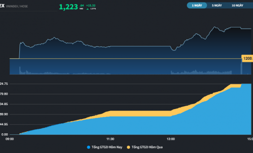 Nhà đầu tư bắt đáy nhóm Chứng khoán có lãi, thị trường đã sáng hơn