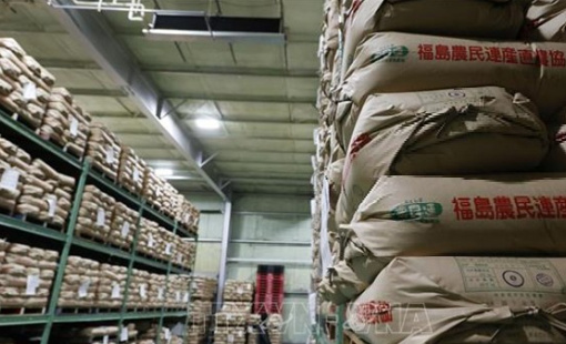 Giá gạo mới của Nhật Bản tăng cao giữa khủng hoảng thiếu hụt