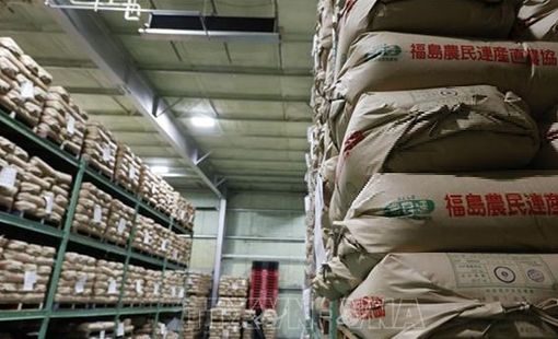Giá gạo mới của Nhật Bản tăng cao giữa khủng hoảng thiếu hụt