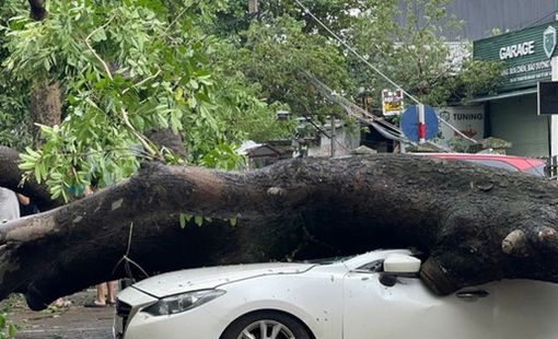 Các công ty bảo hiểm dự tính bồi thường hàng nghìn tỷ đồng thiệt hại do bão số 3