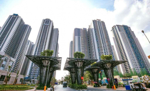 TNR Holdings báo lãi giảm sâu