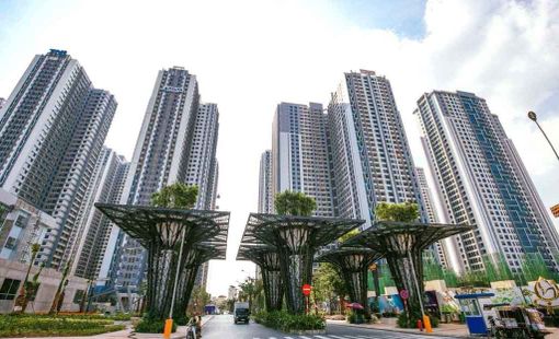 TNR Holdings báo lãi giảm sâu
