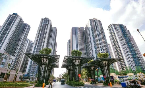 TNR Holdings báo lãi giảm sâu