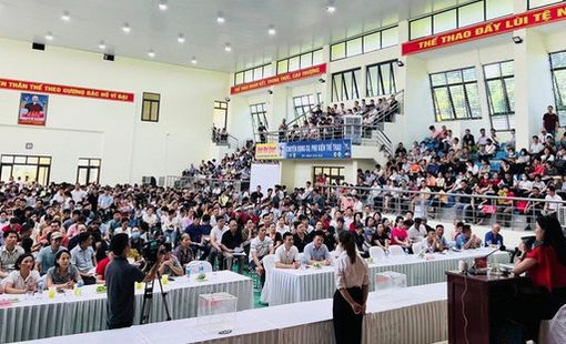 80% số lô đất trúng đấu giá ở Thanh Oai bị bỏ cọc, bao gồm lô hơn 100 triệu đồng/m2