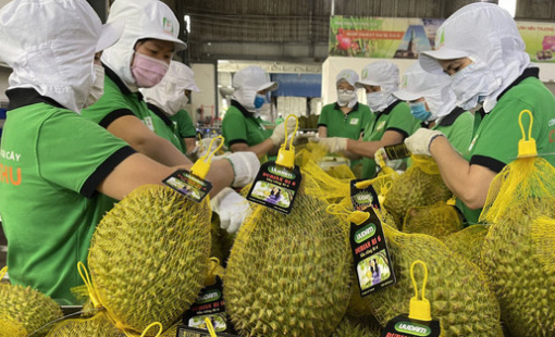 Xuất nhập khẩu 8 tháng đầu năm 2024 đạt 473 tỷ USD