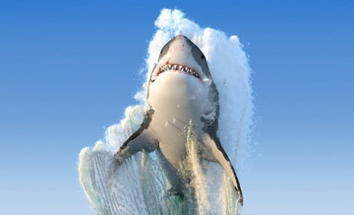 Nhà đầu tư nước ngoài bất ngờ "tung" hơn 2.000 tỷ đồng mua ròng khớp lệnh, đâu là điểm đến của dòng vốn ngoại?