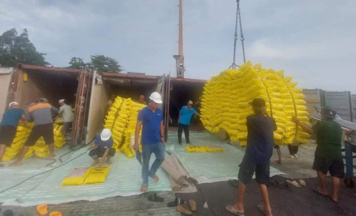 Ấn Độ mở cửa lại thị trường, xuất khẩu gạo Việt Nam có bị ảnh hưởng?