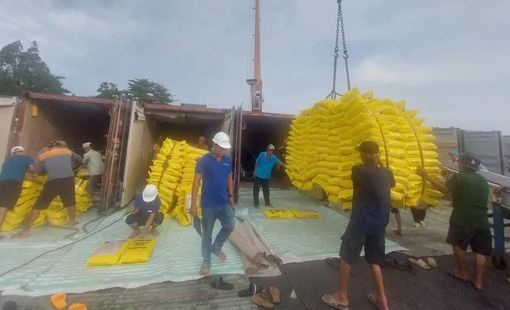 Ấn Độ mở cửa lại thị trường, xuất khẩu gạo Việt Nam có bị ảnh hưởng?