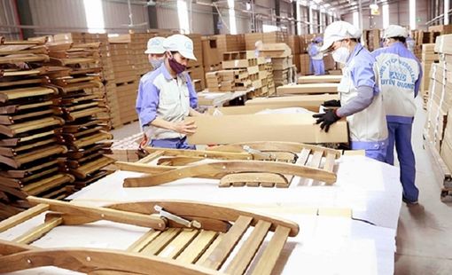 Doanh nghiệp xuất khẩu gỗ gặp lúng túng trong việc lập bản đồ định vị rừng trồng