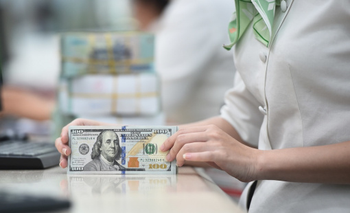 Tỷ giá đột ngột giảm sâu dưới mốc 25.000 VND/USD