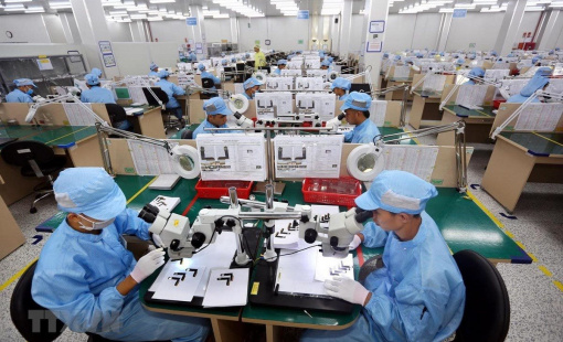 Doanh nghiệp thành lập mới trong tháng 8 giảm cả lượng và vốn