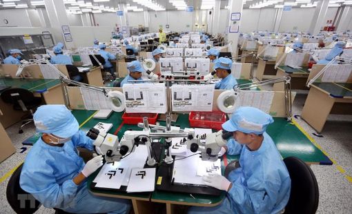 Doanh nghiệp thành lập mới trong tháng 8 giảm cả lượng và vốn