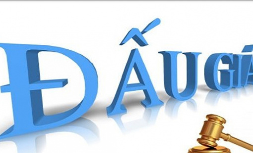 Một huyện ven Hà Nội sắp đấu giá 54 thửa đất, giá khởi điểm chỉ từ 3,5 triệu đồng/m2