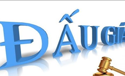 Một huyện ven Hà Nội sắp đấu giá 54 thửa đất, giá khởi điểm chỉ từ 3,5 triệu đồng/m2