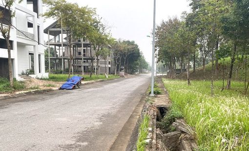 Đánh thuế bất động sản bỏ hoang luỹ tiến theo năm?