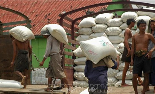 Nhu cầu nhập khẩu gạo từ Philippines tăng mạnh