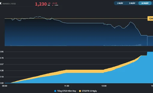 Thị trường giảm về 1.230 điểm
