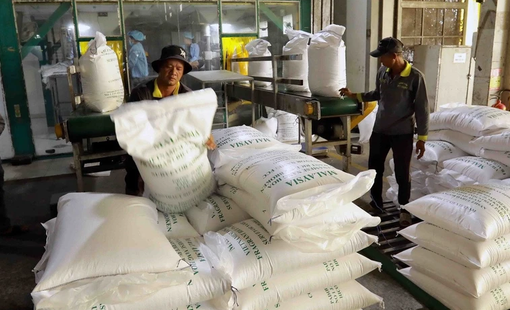 Giá gạo Việt Nam giảm xuống mức thấp nhất trong gần 2 năm