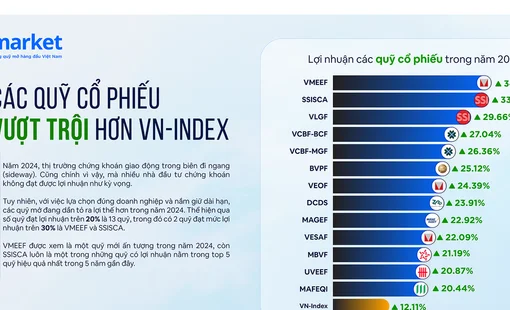 Các quỹ mở “làm ăn” thế nào trong năm 2024?
