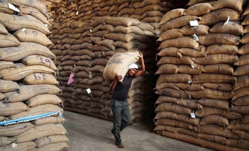 Giá gạo xuất khẩu Ấn Độ giảm mạnh nhất 18 tháng