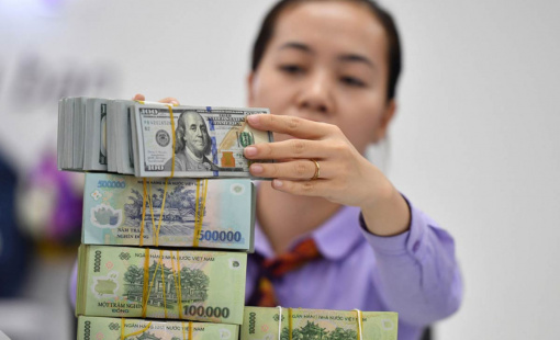 Tỷ giá, lãi suất và những ẩn số 2025