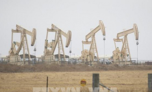 Chờ tin từ Fed, giá dầu thế giới tăng từ mức thấp nhất trong nhiều tuần