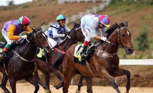 Loạt cổ đông “chung vốn” vào công ty tài sản mã hóa bất ngờ “đua trần” phiên đầu tháng 10