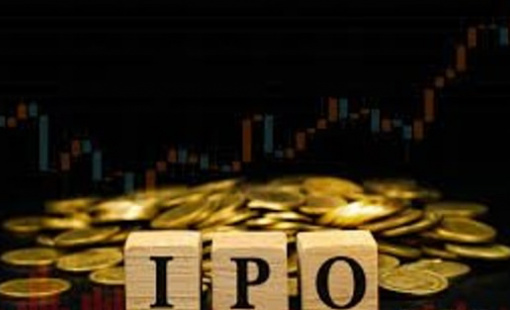 Tân binh sàn chứng khoán Việt Nam 2025: Kẻ tăng giá gấp đôi, người 'hụt hơi' và những gã khổng lồ tỷ đô sắp lộ diện