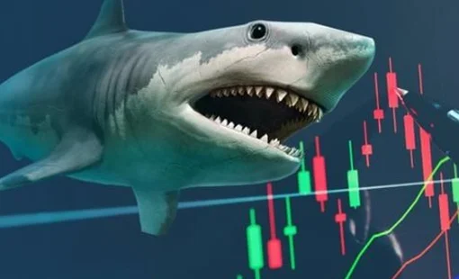 “Cá mập” quy mô gần 14.000 tỷ đồng có thể mua mạnh cổ phiếu này trong kỳ cơ cấu tháng 10