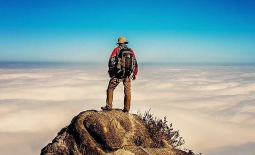 Một cổ phiếu đầu ngành tăng vùn vụt lên đỉnh lịch sử sau khi báo lãi quý 3 kỷ lục