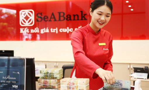 SeABank nhận giải ngân toàn bộ 80 triệu USD từ FMO và Proparco