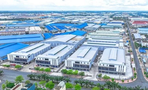 Một công ty bất động sản KCN báo lãi quý 3/2025 giảm 70%, cổ phiếu giảm kịch sàn