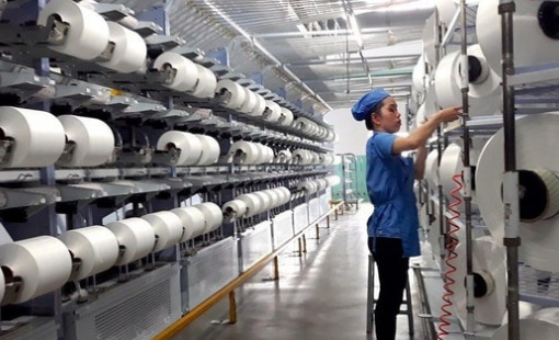 'Cú đấm' của tỷ giá khiến công ty sợi trên sàn giảm 87% lợi nhuận trong quý 3