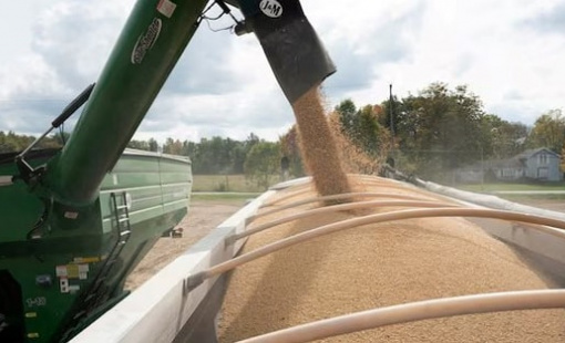 Căng thẳng thương mại tạm lắng, Trung Quốc nối lại nhập khẩu mặt hàng tỷ USD của Mỹ sau hơn nửa năm ‘quay lưng’