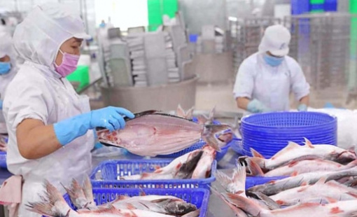 Quý 3/2025: "Nữ hoàng" cá tra Vĩnh Hoàn báo lãi tăng vọt 35%, "thoái" hơn trăm tỷ loạt cổ phiếu bất động sản