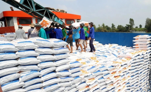 Philippines có thể nhập khẩu hơn 4 triệu tấn gạo trong cả năm nay