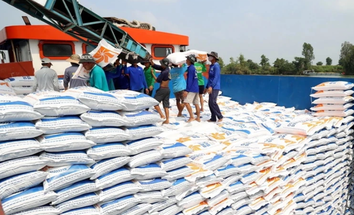 Philippines có thể nhập khẩu hơn 4 triệu tấn gạo trong cả năm nay